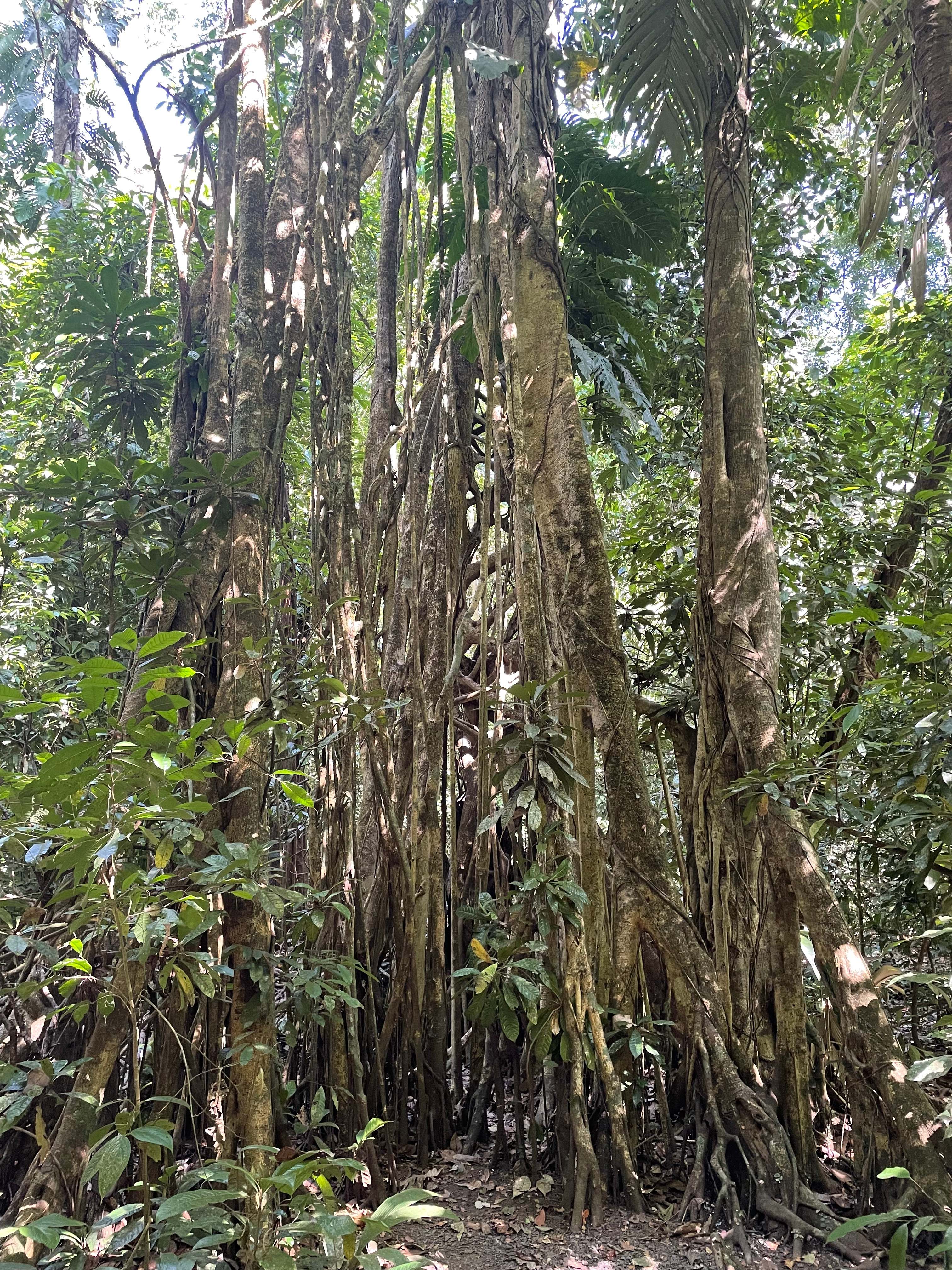 Costa Rica